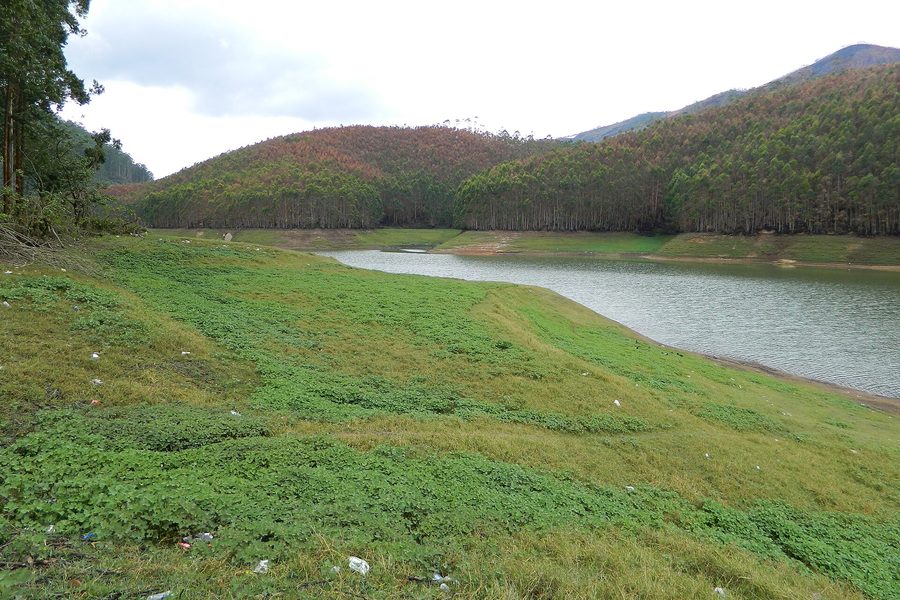 Exploring Munnar