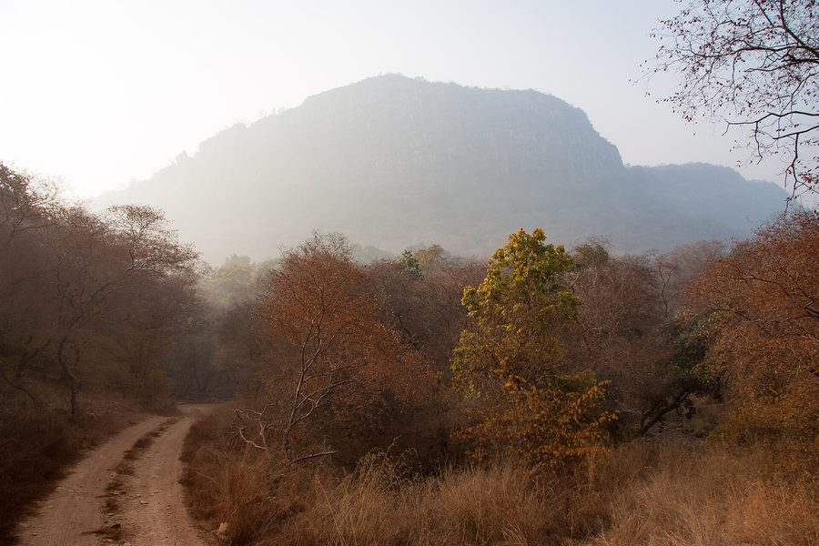 Bharatpur to Ranthambore