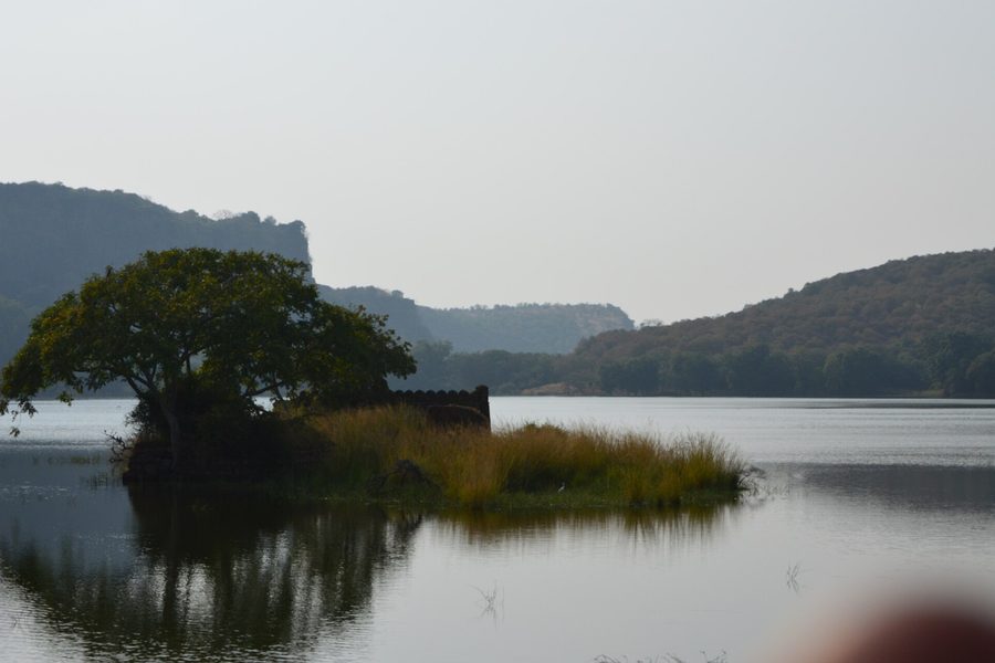 Ramathra to Ranthambore