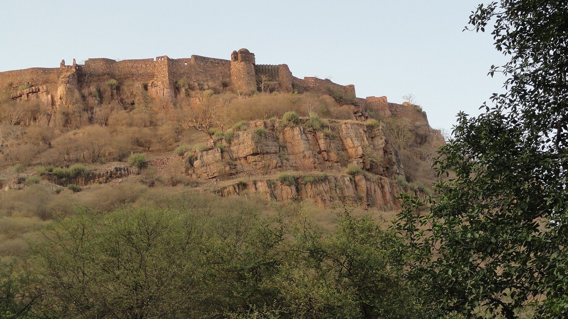 Golden Triangle & Roaring Ranthambhore