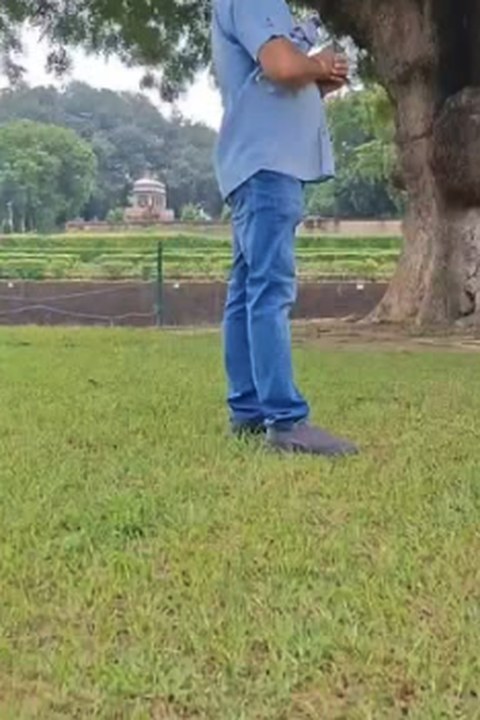 Guide telling stories under an old tree