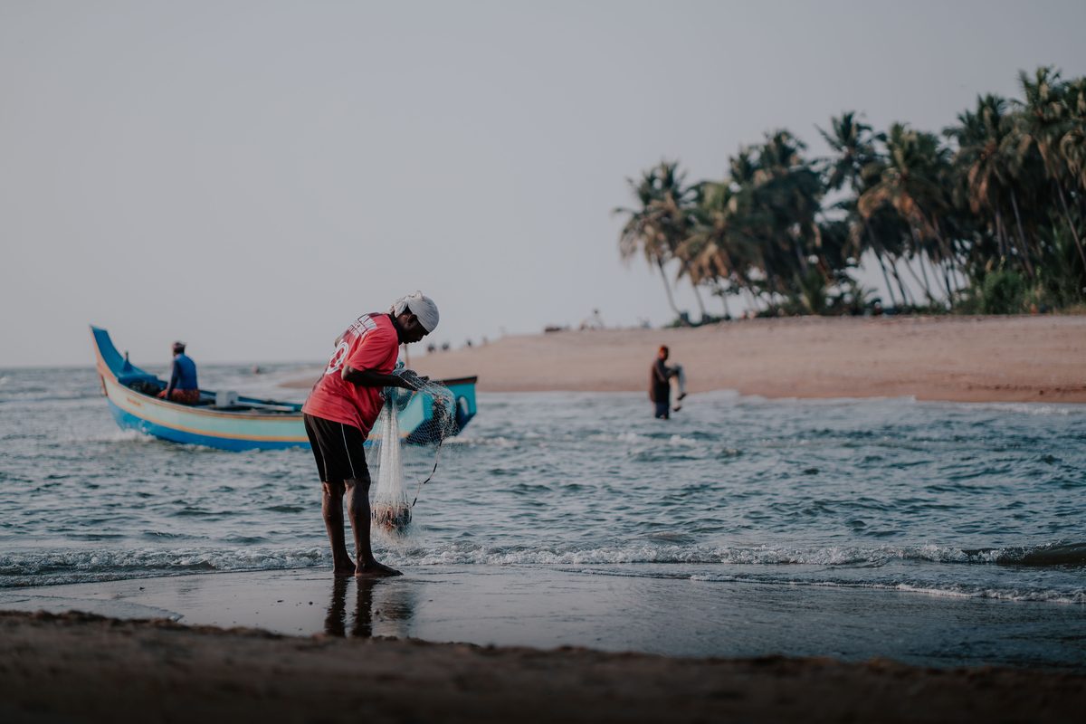 Descent to the Southern Backwaters