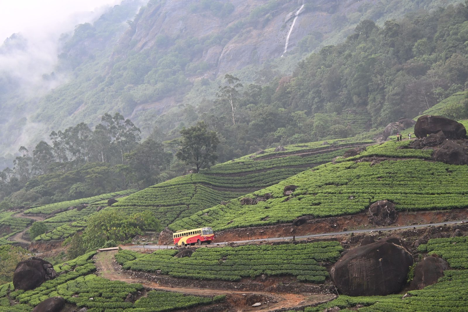 Kerala