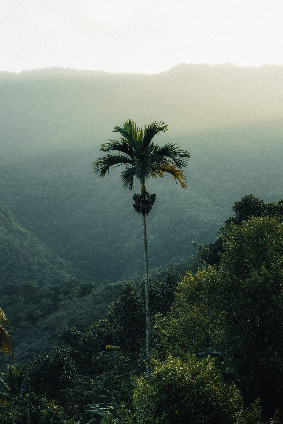 Kerala Tour
