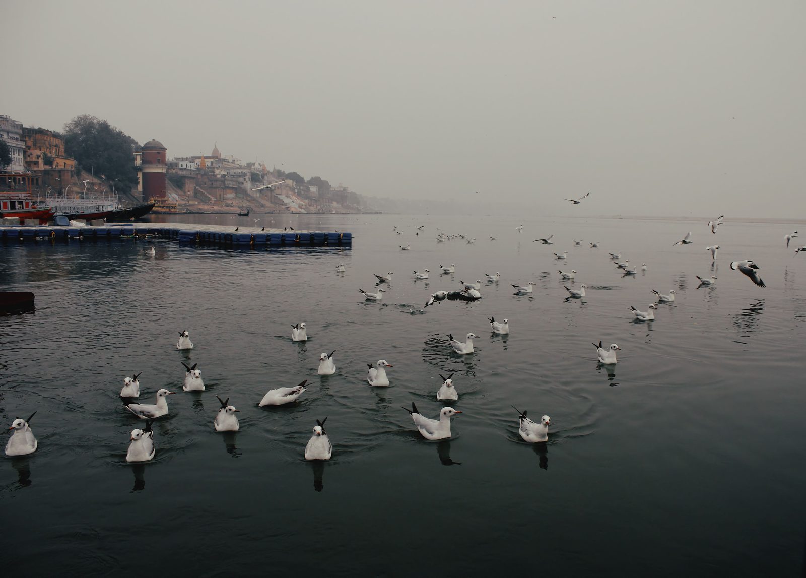 Varanasi to Bodhgaya