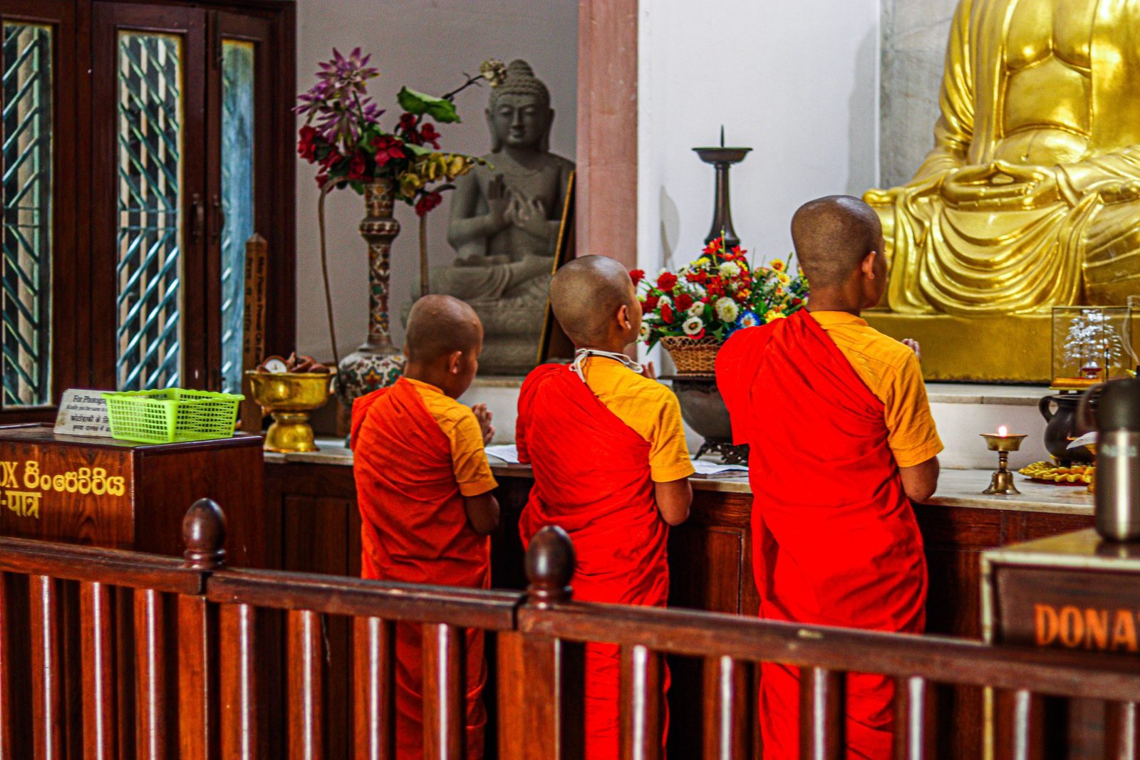 Sarnath Excursions