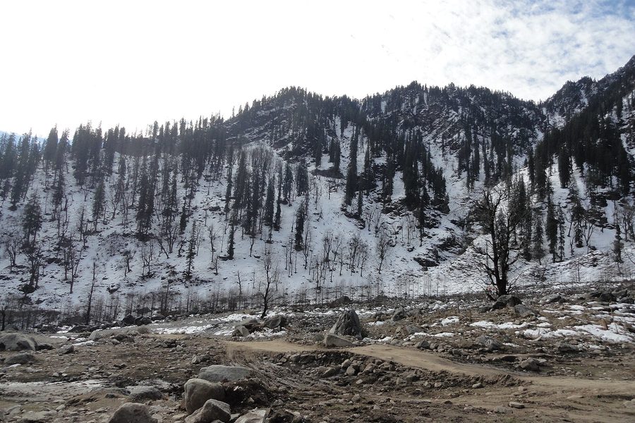 A Free Day in Manali