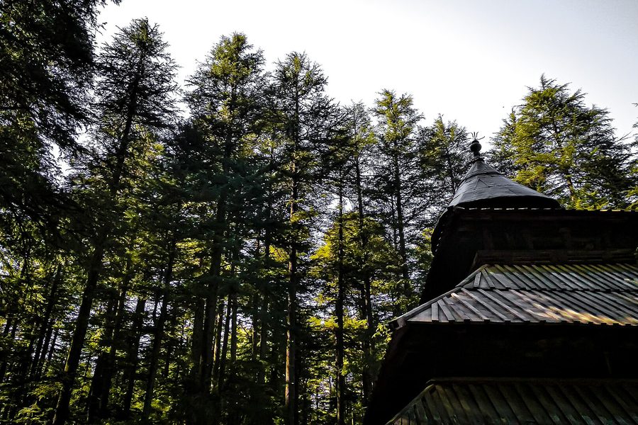Manali at Leisure