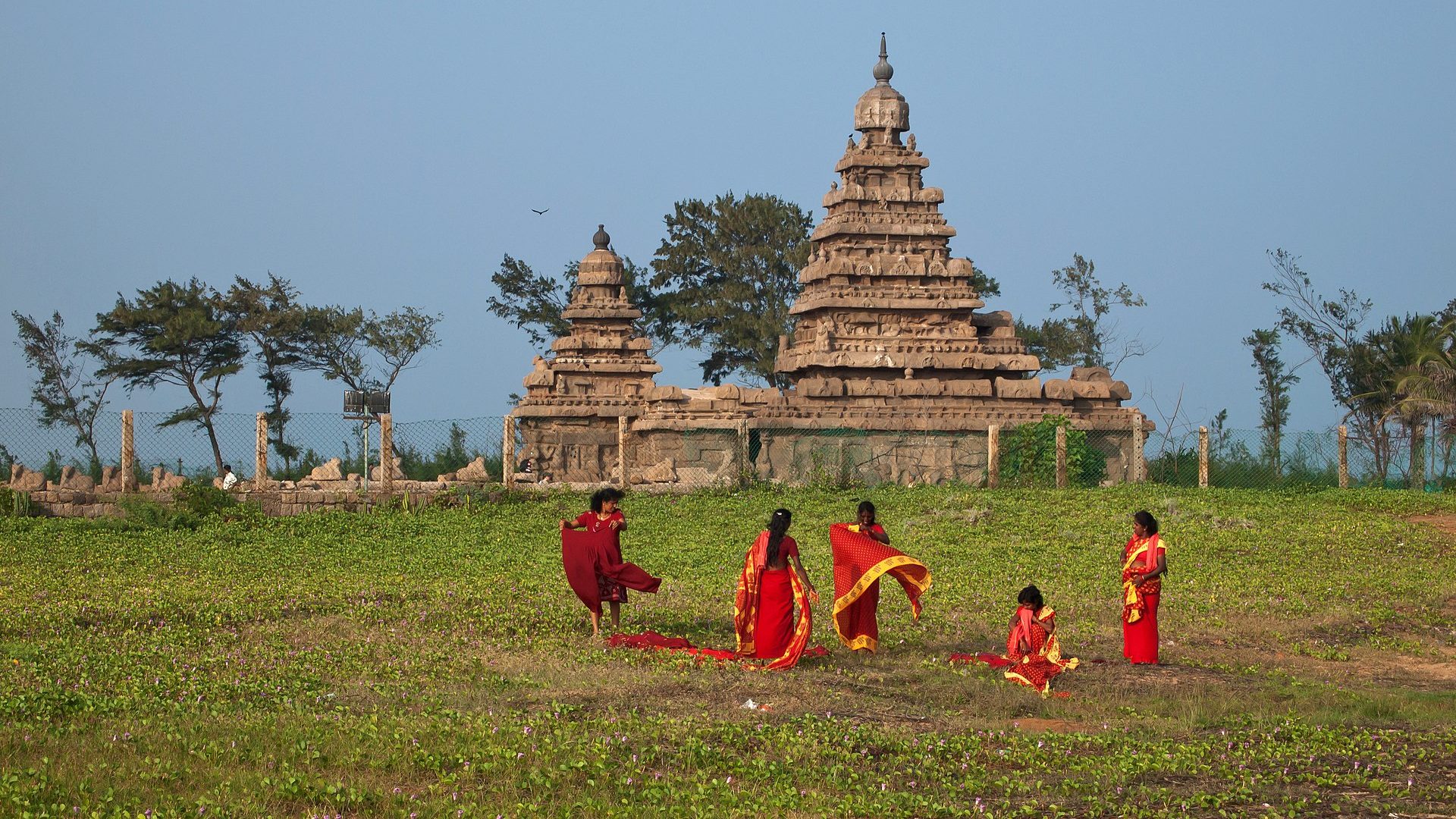 The Temple Run