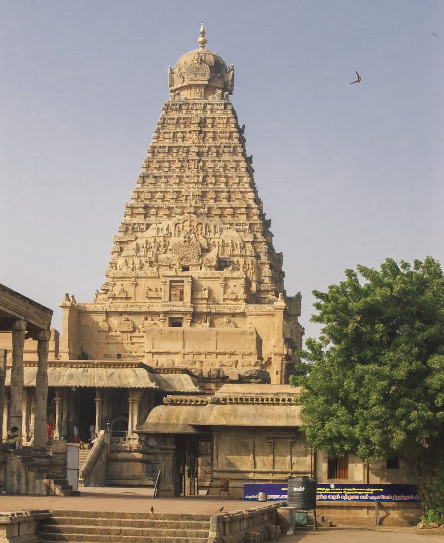 The Temple Run